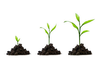 growing